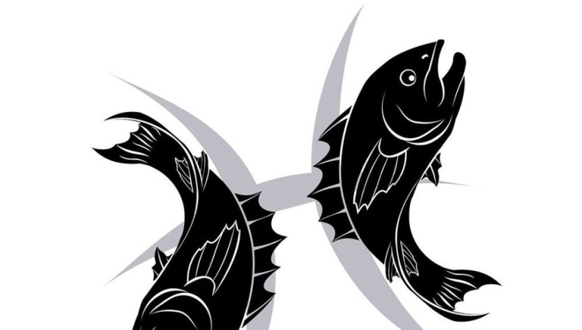 signe astrologique du Poisson